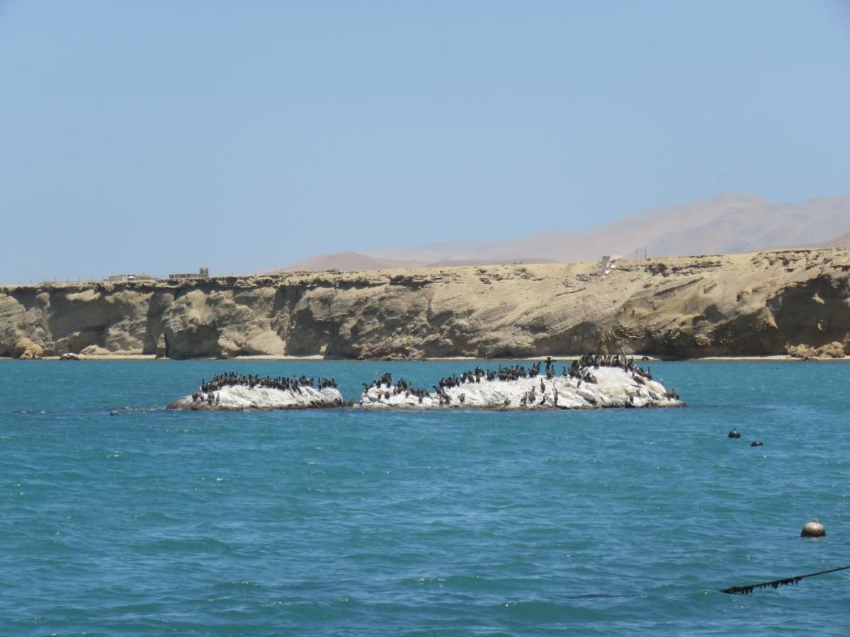 Paracas Apartment Exteriör bild